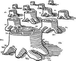 Deforestation: A Growing Global Concern