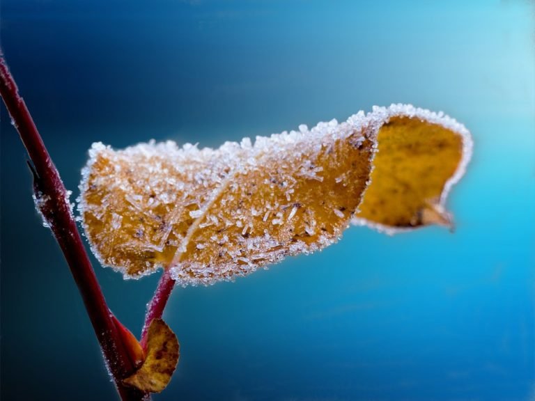 Six Seasons of Kashmir, a Short Introduction