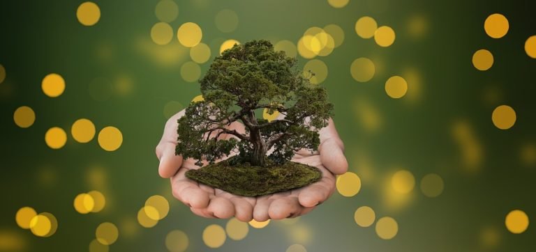 World Environment Day: Importance of Social Forestry