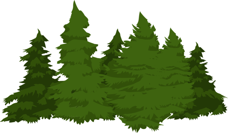 When I Sit by My Window  and Look Outside