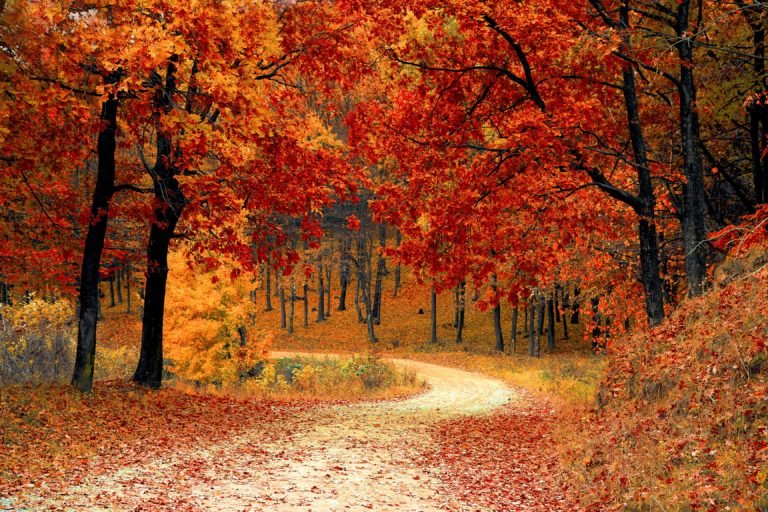 Seasons of Kashmir
