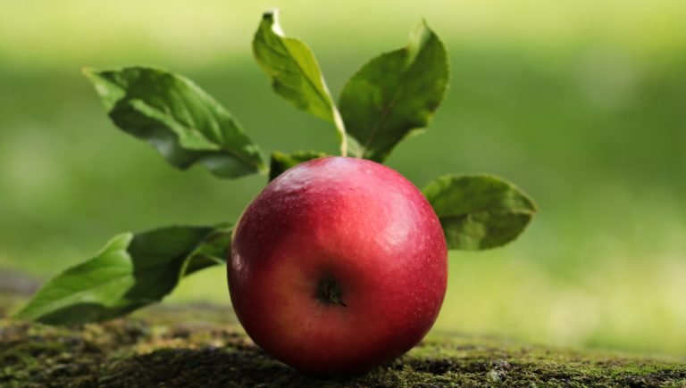 5 Interesting Facts About Apples