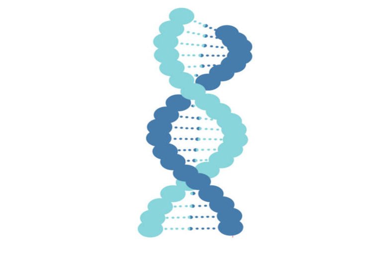 Why Women Live Longer than Men