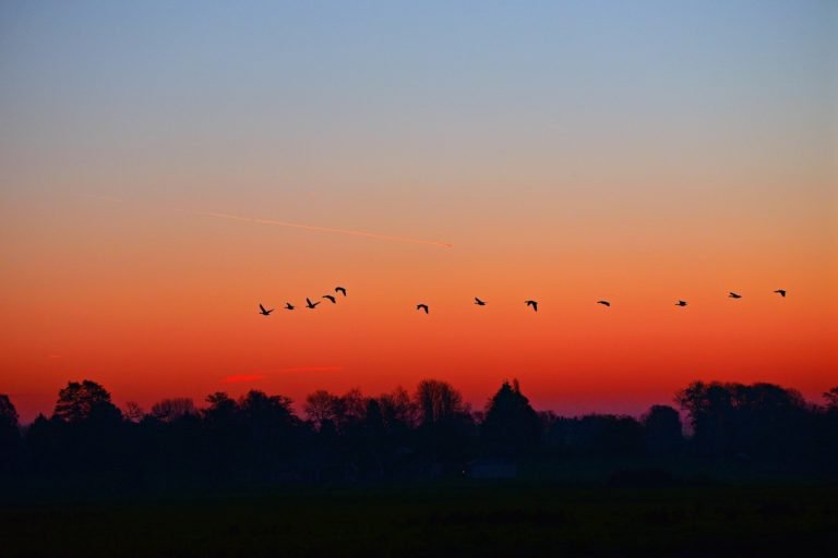 From morning to evening